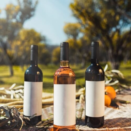 A Day of Wine and Scenic Beauty