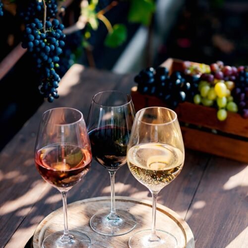 Explore Renowned Wineries