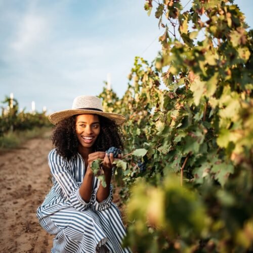 An Exclusive Vineyard Experience