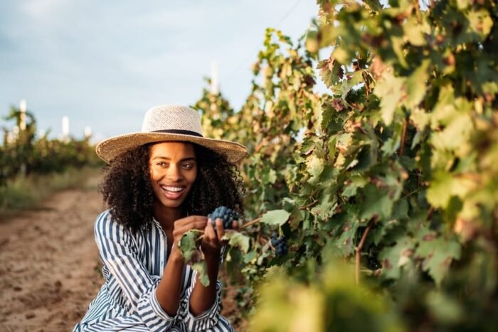 An Exclusive Vineyard Experience